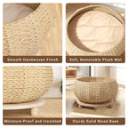 Primary Woven Series