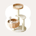 Sleeping in the Bowl Cat Tree